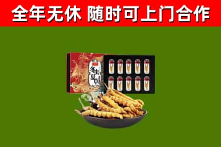 丰镇回收冬虫夏草价格